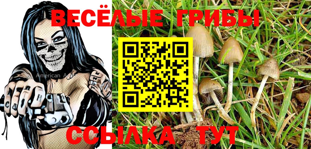Галлюциногенные грибы Magic Shrooms  Вход с VPN  Сочи 